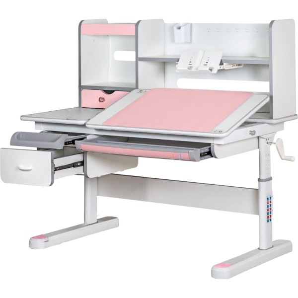 Фото - Парта школьная Mealux Florida Multicolor PN (Evo-52 WG + PN Multicolor)